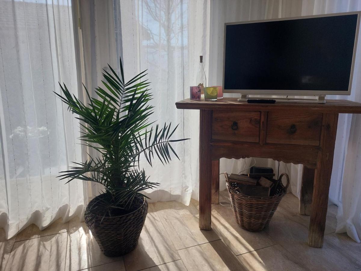 Cosy Petten, Family Only Extérieur photo